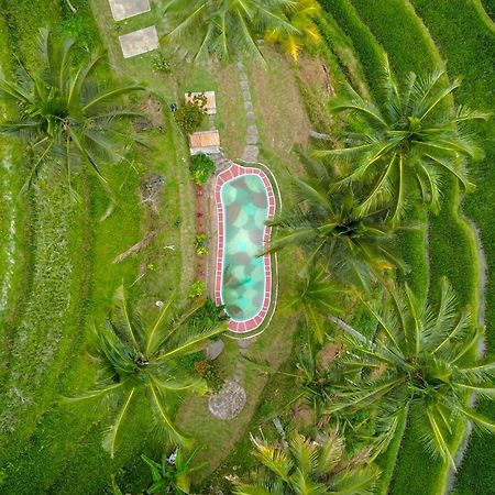 Pesona Bali Ecolodge By Agata Джатілувіг Екстер'єр фото