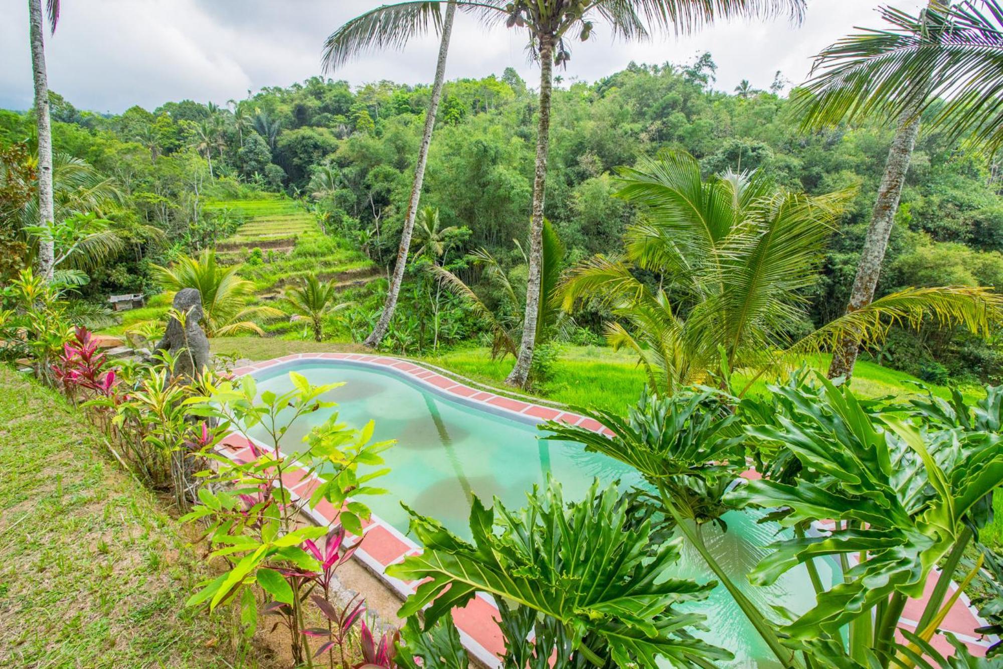Pesona Bali Ecolodge By Agata Джатілувіг Екстер'єр фото