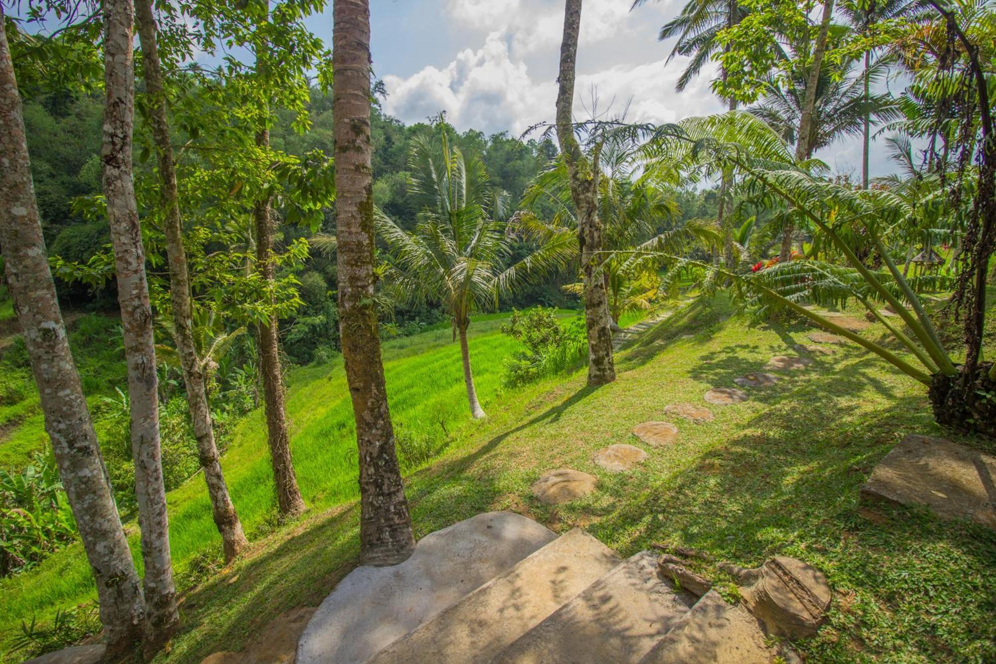 Pesona Bali Ecolodge By Agata Джатілувіг Екстер'єр фото