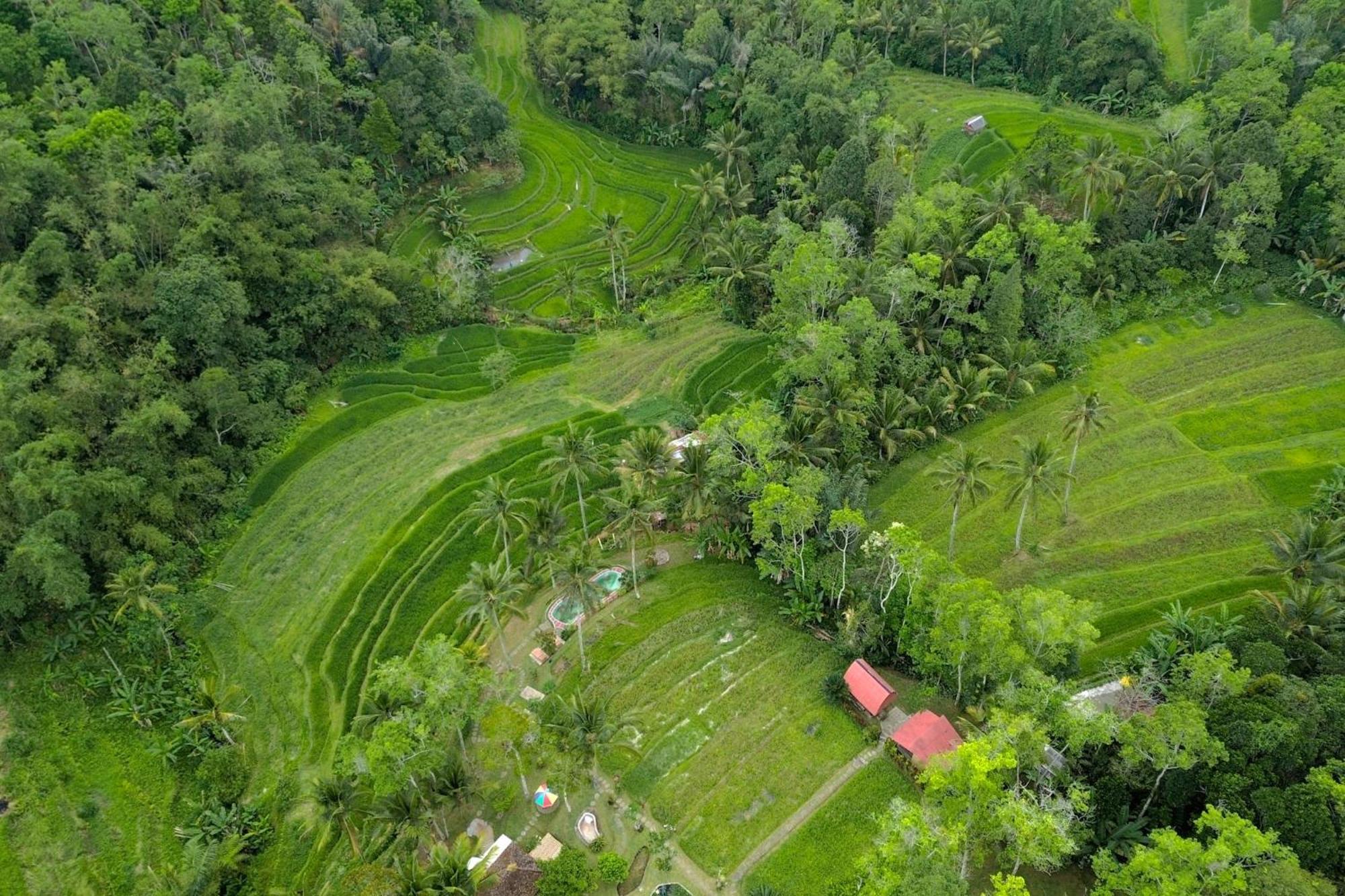 Pesona Bali Ecolodge By Agata Джатілувіг Екстер'єр фото