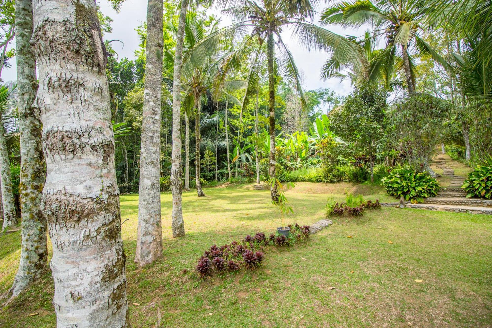 Pesona Bali Ecolodge By Agata Джатілувіг Екстер'єр фото