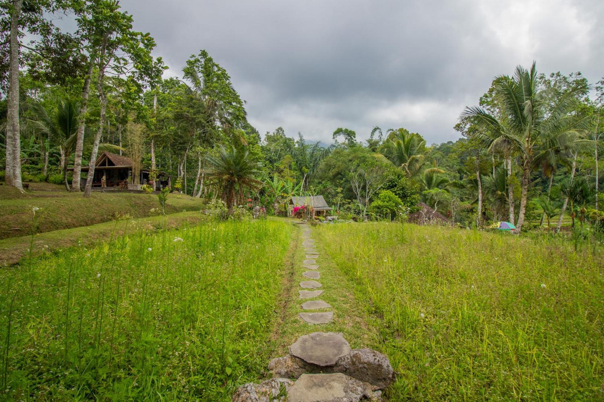 Pesona Bali Ecolodge By Agata Джатілувіг Екстер'єр фото