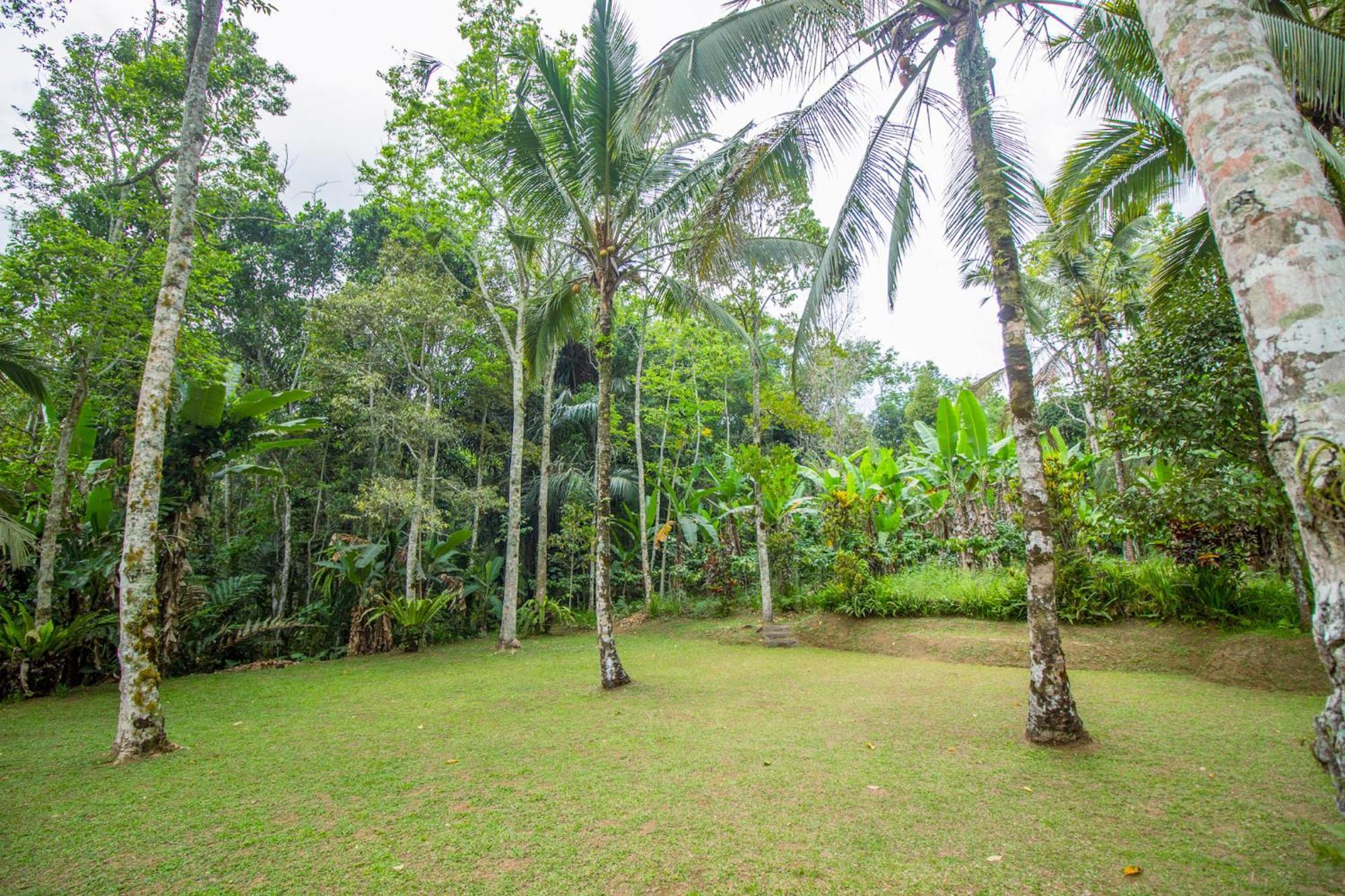 Pesona Bali Ecolodge By Agata Джатілувіг Екстер'єр фото